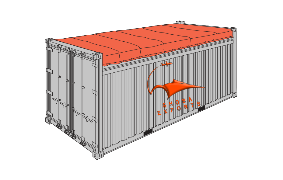 Exporting Leaders