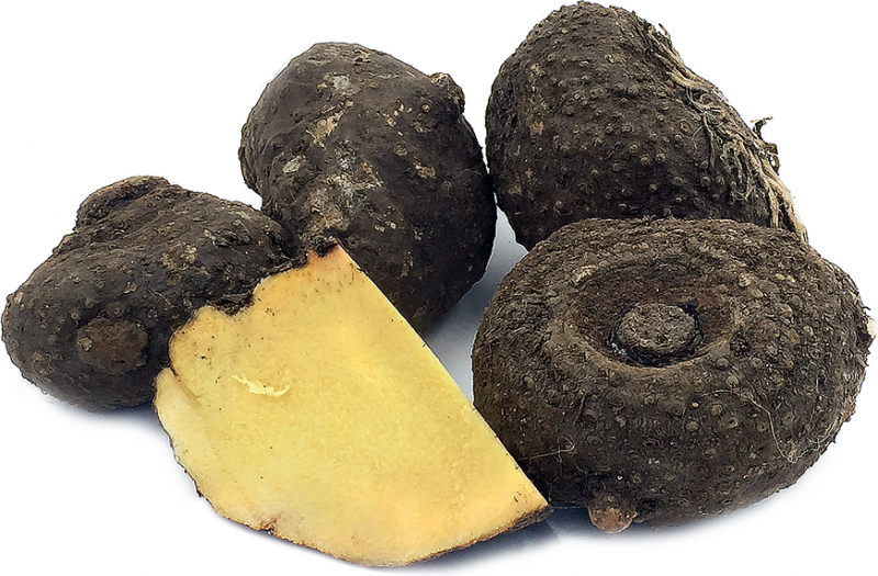 Elephant-foot-yam.png
